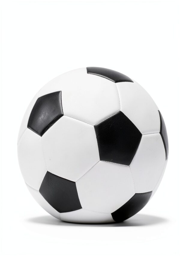 Pavo Monitor Arm Ergonomic Aluminum Desk Mount for